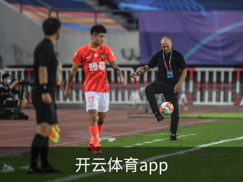 了解开云体育app
